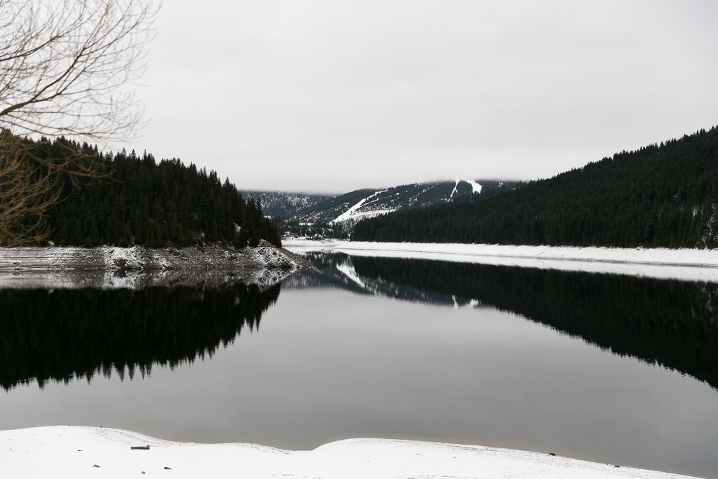 Panorama Apuseni Villa Beliş Eksteriør billede